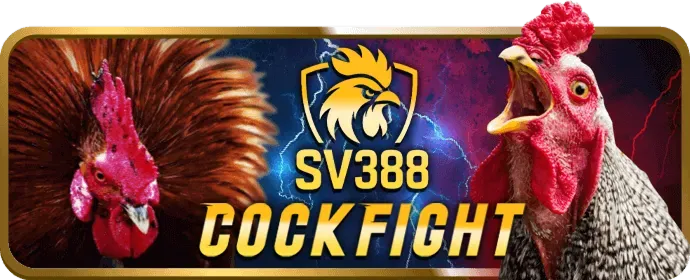 Biểu tượng lá chắn bảo vệ quyền riêng tư và an toàn của tải betking